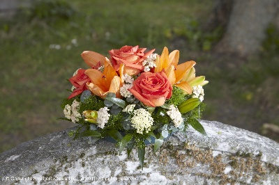 Orange Posy,